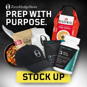Zerohedge store image